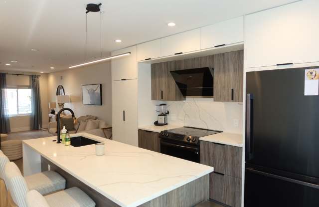 Brand New Town Home in the Heart of Northern Liberties photos photos
