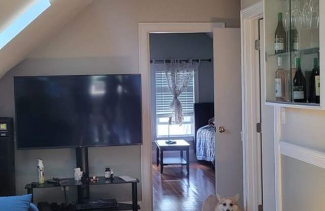 Easy access to UMASS! Cozy 2 bedroom Walk to T! - 55 Shepton Street, Boston, MA 02124