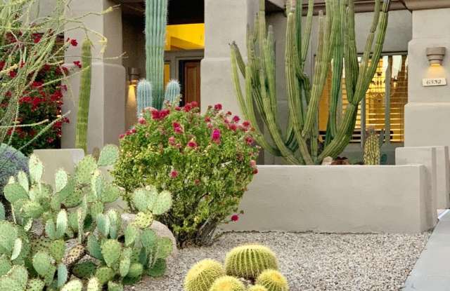 6332 E Dusty Coyote Circle Gallery 2