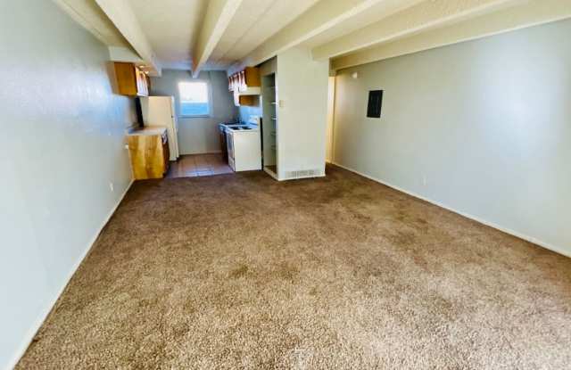 Studio Apartment in Denver - Ground Level - Move-In Special photos photos