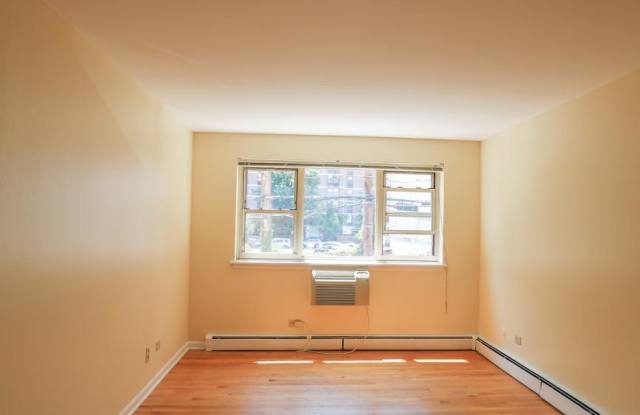 541 West Briar - 541 West Briar Place, Chicago, IL 60657