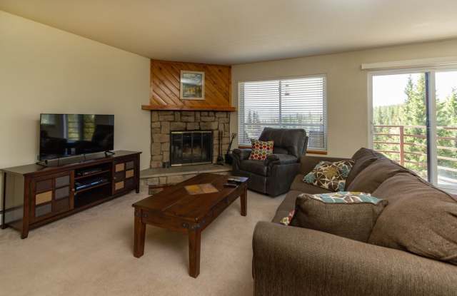 Buffalo Ridge Condos-All Utilities, Clubhouse, Wifi, Bus Route  Views - 9849 Ryan Gulch Road, Summit County, CO 80498