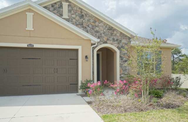 16370 Hyde Manor Drive - 16370 Hyde Manor Drive, Tampa, FL 33647