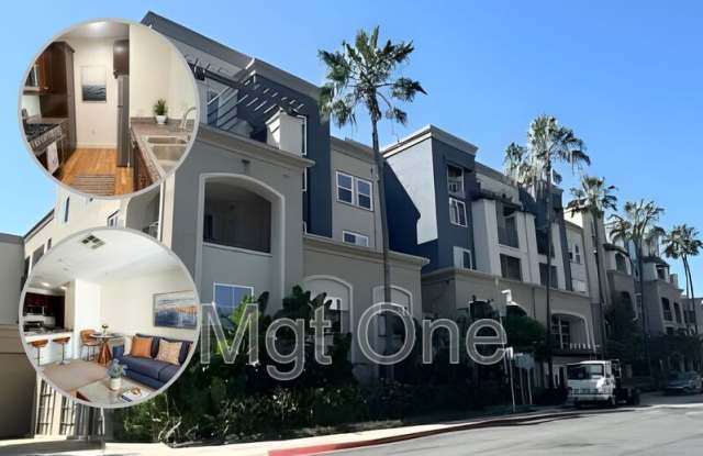 2379 Scholarship photos photos