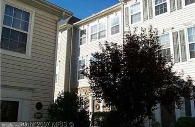21787 DRAGONS GREEN SQUARE photos photos