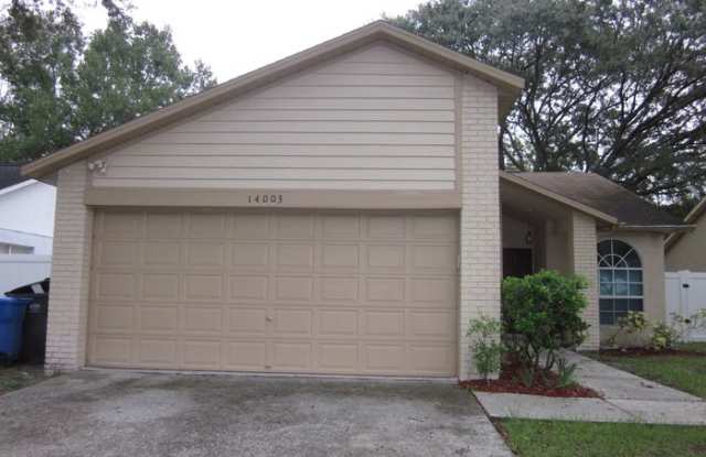 14003 Pomelo Place - 14003 Pomelo Place, Citrus Park, FL 33625