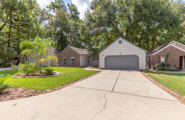 47 Bitterwood Circle - 47 Bitterwood Circle, The Woodlands, TX 77381