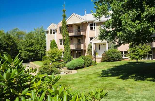 71 Waterfall Dr. Gallery 4
