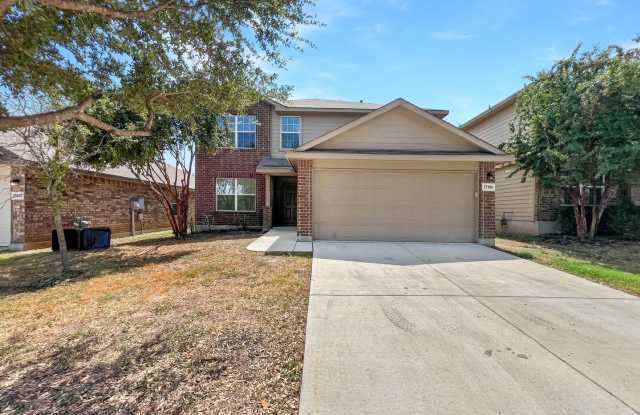 15106 Cinnamon Teal Gallery 3
