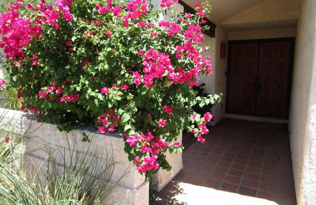 1817 N PALM Drive Gallery 3