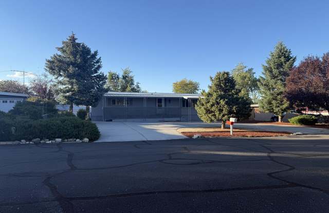315 Capella Drive - 315 Capella Drive, Washoe County, NV 89521