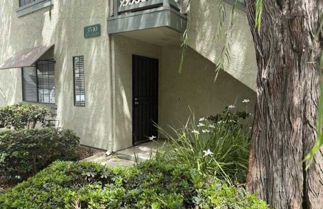 3510 W Sweetbay Court photos photos