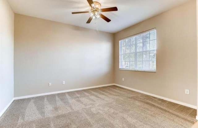 3445 Fiddlers Green Loop Gallery 3