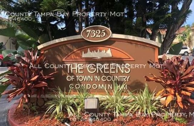 7505 Gallineta Court - 7505 Gallineta Ct, Town 'n' Country, FL 33615