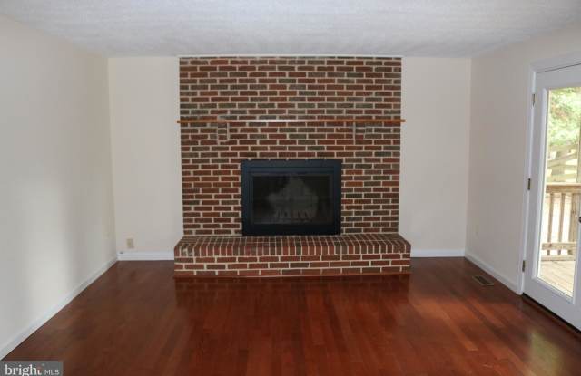 10317 STEAMBOAT LANDING LANE Gallery 4