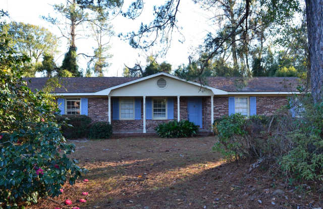 222 Mary Street - 222 Mary Street, Blackshear, GA 31516