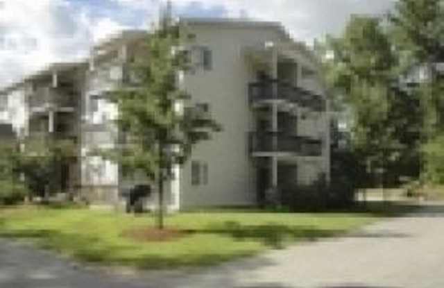 99 Mammoth Road photos photos