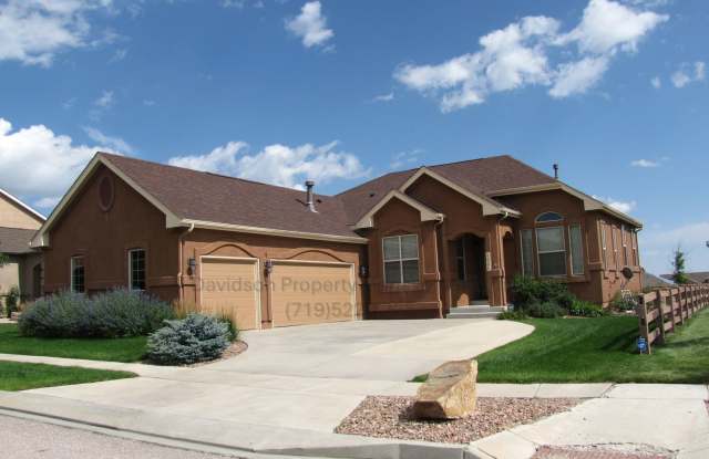 Stunning 4 Bedroom House in Wolf Ranch photos photos