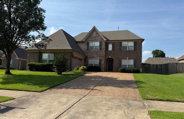 BEAUTIFUL SPACIOUS HOME IN BARTLETT photos photos