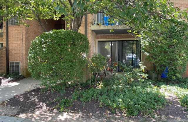 50 LE FORGE COURT photos photos