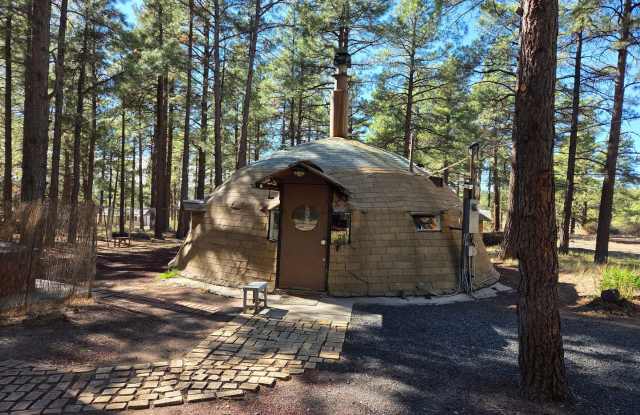 Unique Dome-Shaped Studio Surrounded by Ponderosa Pines photos photos