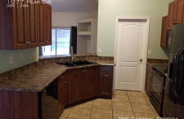 1077 Peak Cir Gallery 4