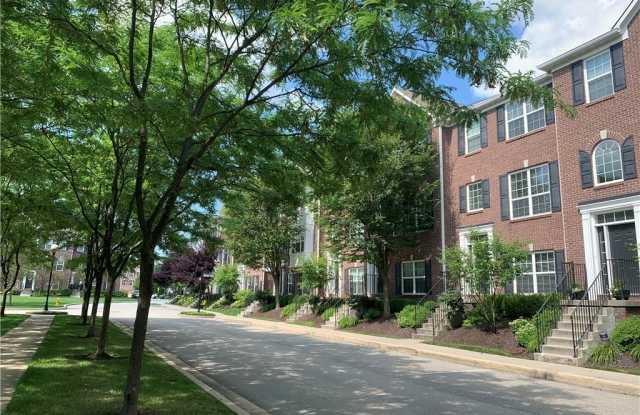 936 Rosalind Place Gallery 3