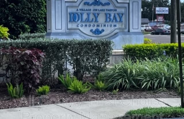 2577 Dolly DR - 2577 Dolly Bay Drive, Palm Harbor, FL 34684