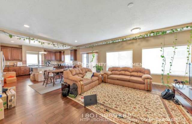 10972 S Glenda Ln Gallery 3