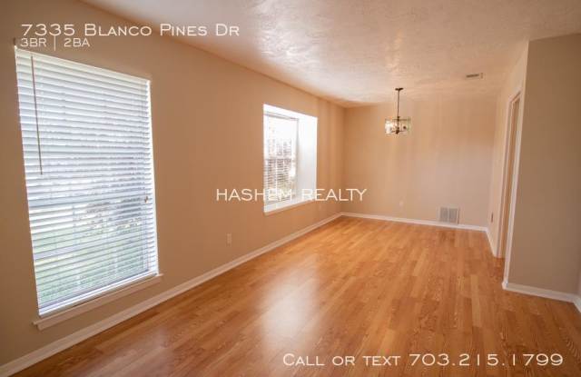 7335 Blanco Pines Dr Gallery 3