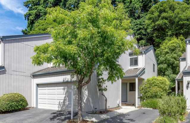 Coastal Flow Meets Trail Life in Aptos Village photos photos