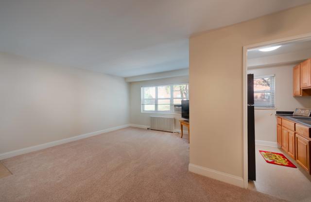 Springfield Gardens Gallery 2