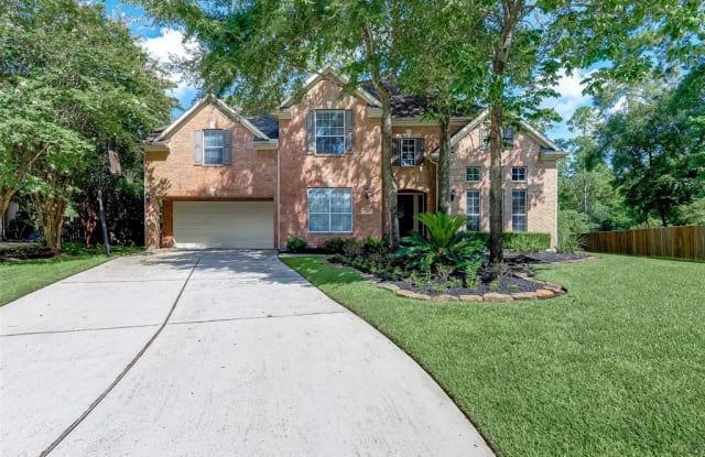 18 Pawprint Place - 18 Pawprint Place, The Woodlands, TX 77382