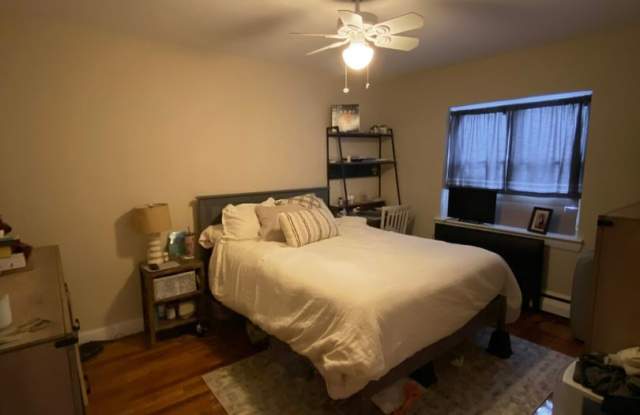 Huge and Sunny Apt near Cleveland Circle and T's! Heat and Hot Water Included! Cat Friendly! Gallery 3