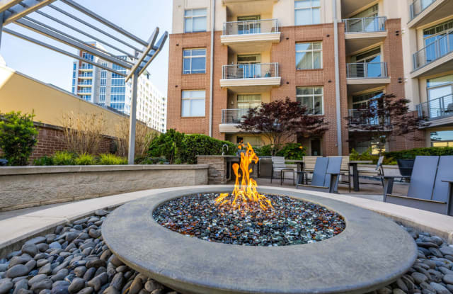 The Mint 425 Apartments Gallery 3