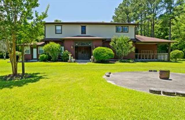Uniquely breathtaking custom home with in-law suite on almost 4 acres - 1183 Canady Road, Onslow County, NC 28540
