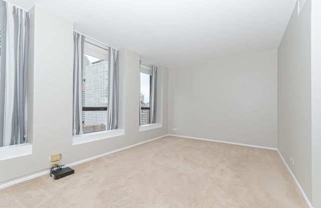 260 E CHESTNUT Street Gallery 4