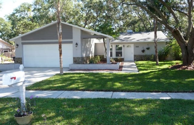 222 Lotus Drive - 222 Lotus Drive, Safety Harbor, FL 34695