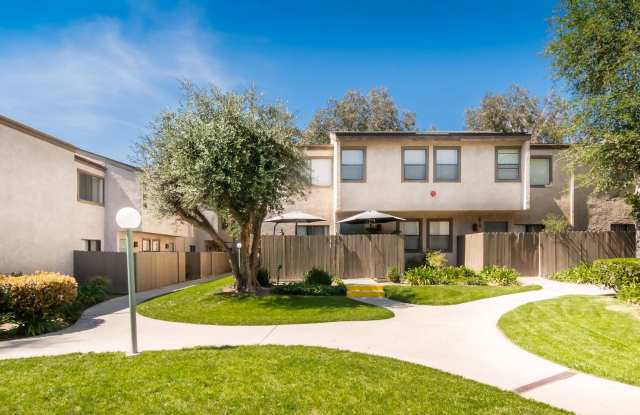 Spring Tree photos photos