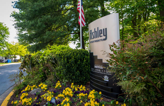 Ashley Apartments photos photos