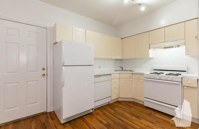 917 West Dakin Street - 917 West Dakin Street, Chicago, IL 60613