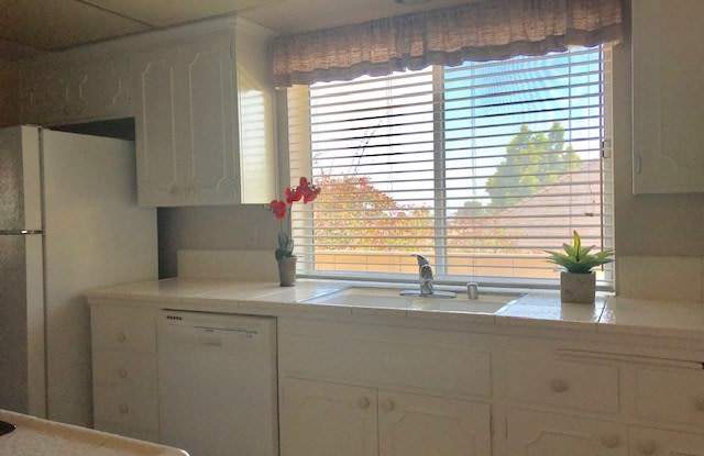 4982 Silver Arrow Drive Gallery 3
