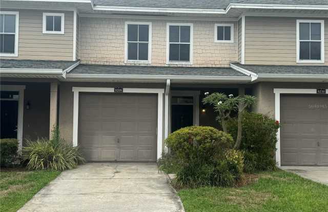 8208 DOWNPATRICK COURT - 8208 Downpatrick Court, East Lake-Orient Park, FL 33610