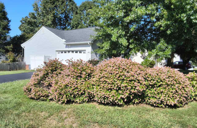 Great corner lot ranch in Ashbrook Subdivision Gallery 4
