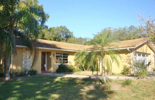 Remodeled Home in Safety Harbor - 3015 Egret Terrace, Safety Harbor, FL 34695