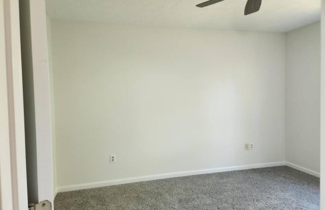 216 Shamrock Lane Gallery 4