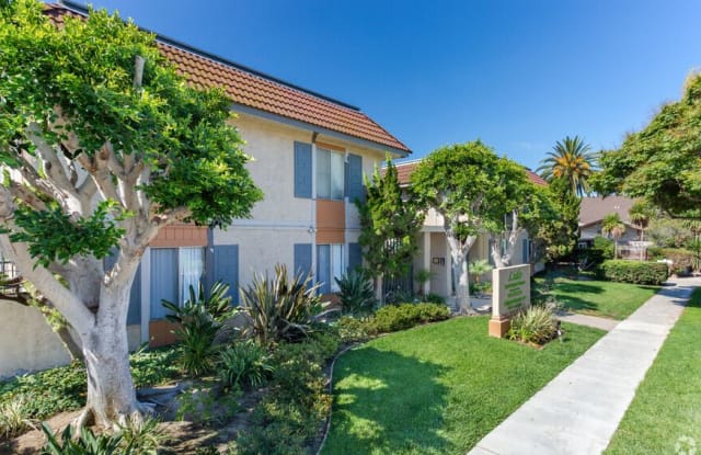 241 Avocado Street photos photos