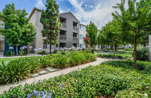 Pavona Apartments Gallery 4