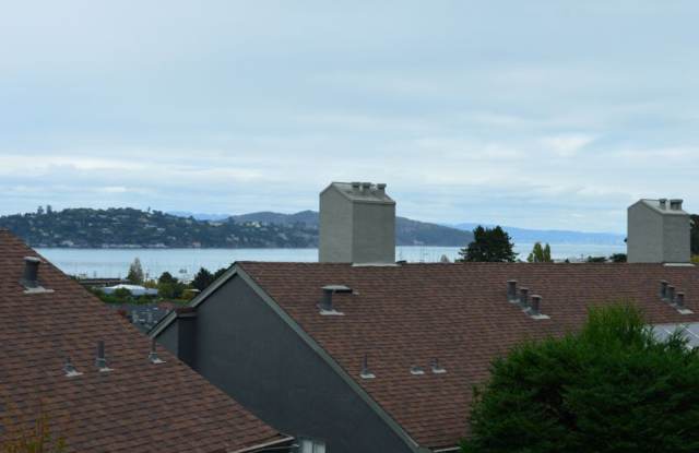 Nicely Updated and Pet Friendly Sausalito Condo photos photos