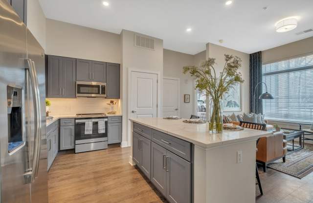 Icon Riverwalk 55+ Active Adult Apartment Homes Gallery 3